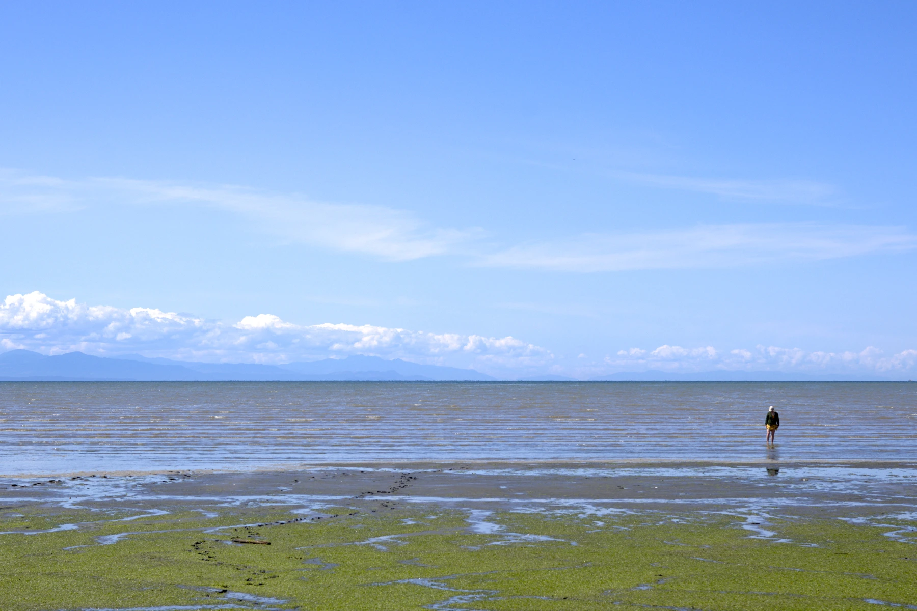 Shot of the mudflats