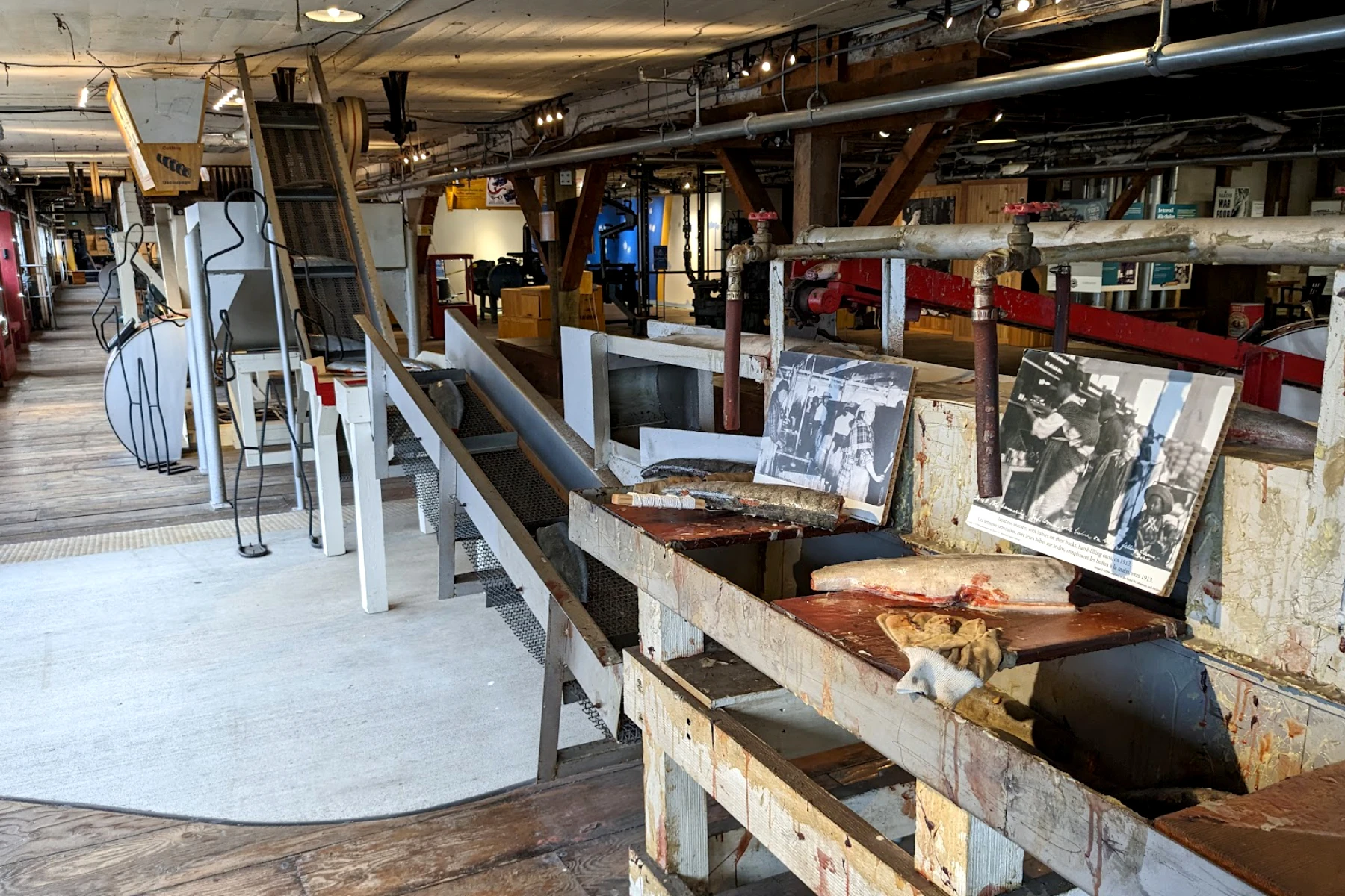 Canning line exhibit