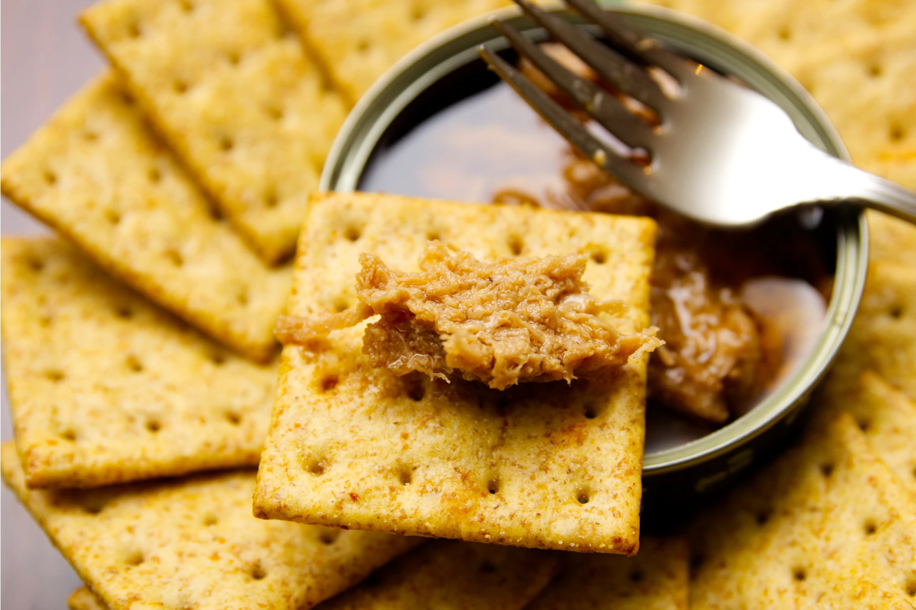 A piece of tunah on a cracker.